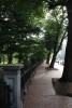 Boston Public Gardens Fence