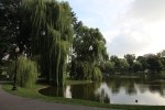 Boston Public Gardens