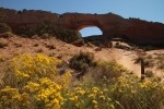 Wilson Arch