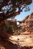 Sierra Juniper and Double O Arch