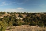 Landscape and Trails