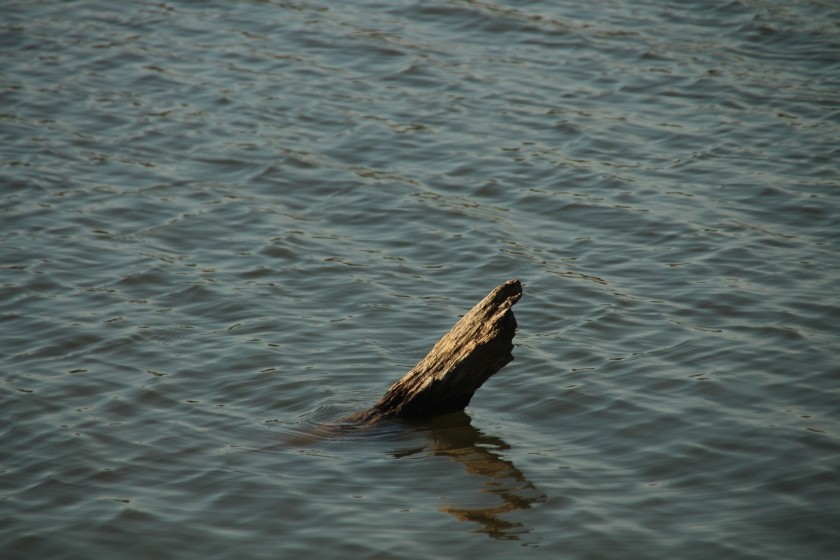 Water stump