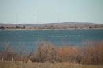 Pelicans and Cormorants over Lake Lawtonka