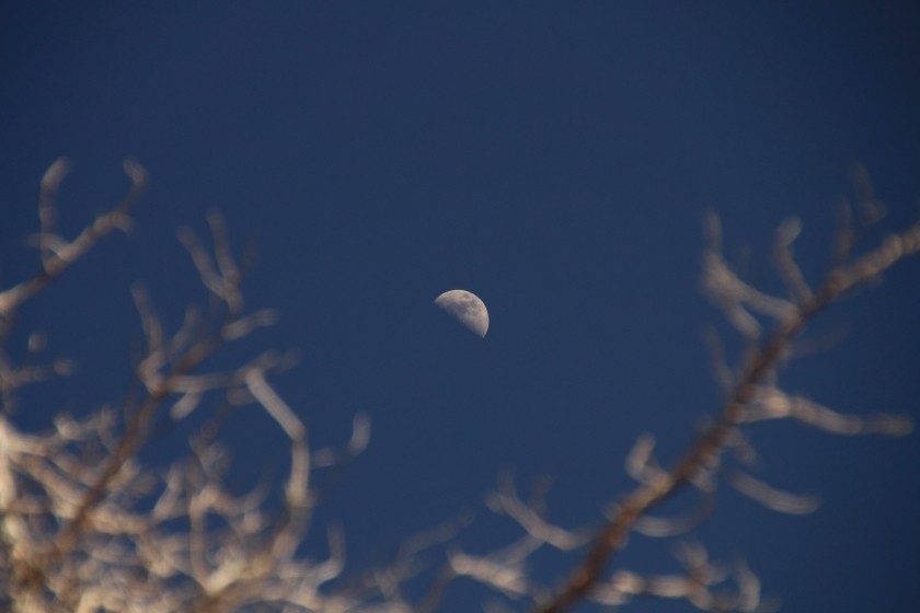 First Quarter Moon