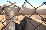 Pattern on Fence