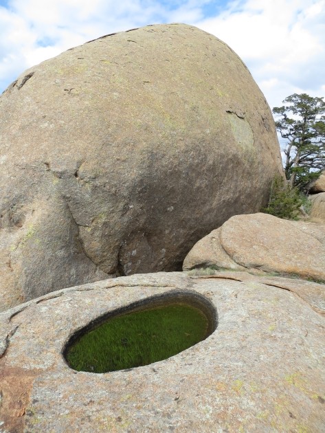 Boulder and Pond Grass