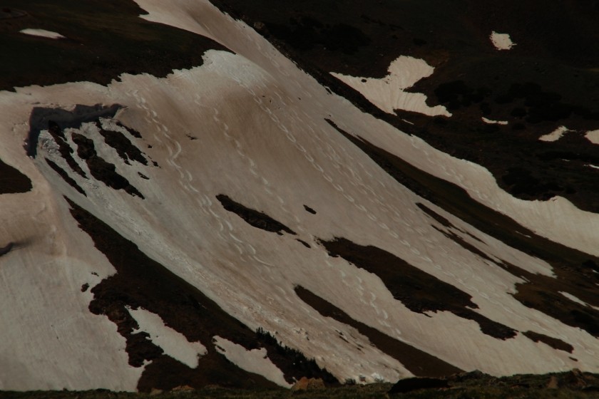 RMNP Ski Trails