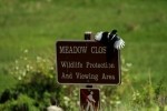 RMNP Magpie