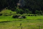 Meadow Roof