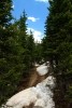 RMNP Poudre Lake Trail