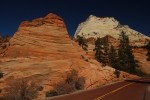 Zion NP Sandstone