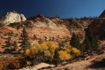 Zion NP Fall Colors