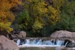 Zion NP Virgin River