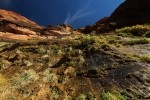 Zion NP Weeping Wall