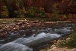 Zion NP Vigin River