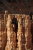 Bryce Canyon NP Bridged Hoodoo