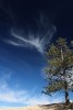 Bryce Canyon NP Fairy Cloud