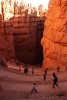 Bryce Canyon NP Wall Street Switchbacks