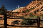 Zion NP 