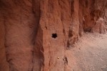 Zion NP 