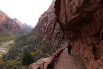 Zion NP 