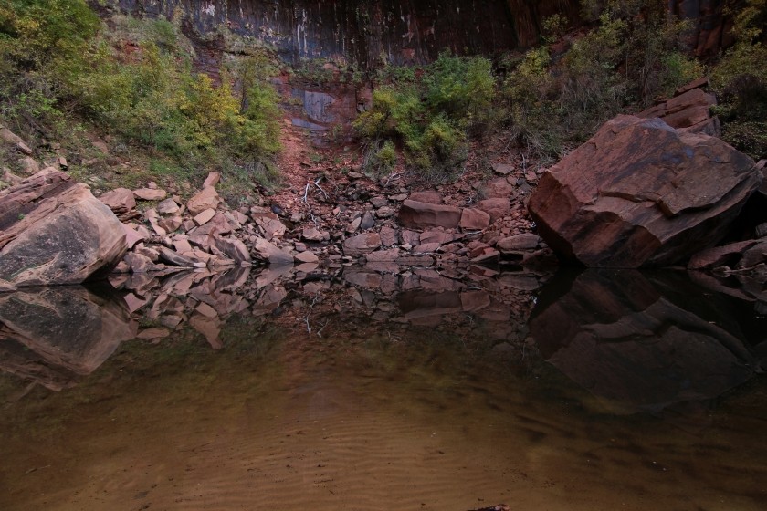 Zion NP 