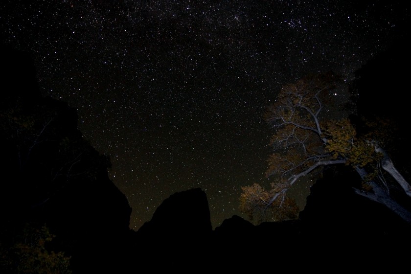 Zion NP 